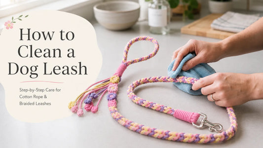 How to clean a dog leash with a damp cloth – cotton rope and braided leash care guide