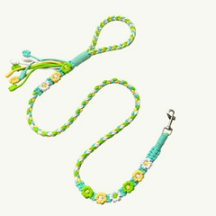 Citrus Bloom Floral Braided Dog Leash